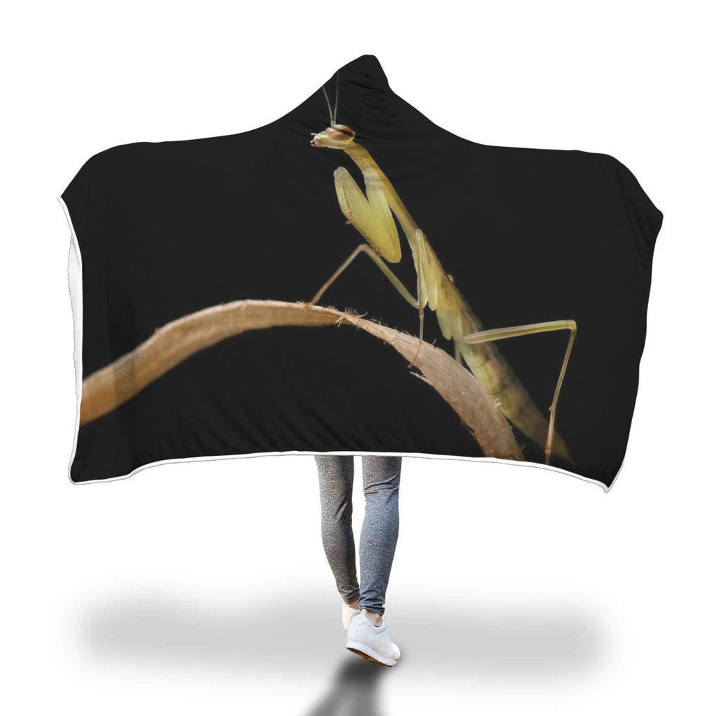 M.paykulli Mantis Hooded Blanket